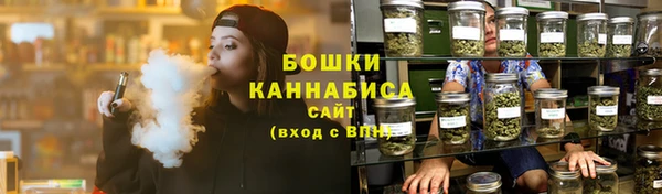 не бодяженный Великий Новгород