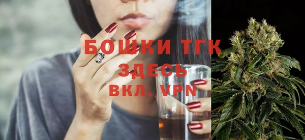 не бодяженный Великий Новгород