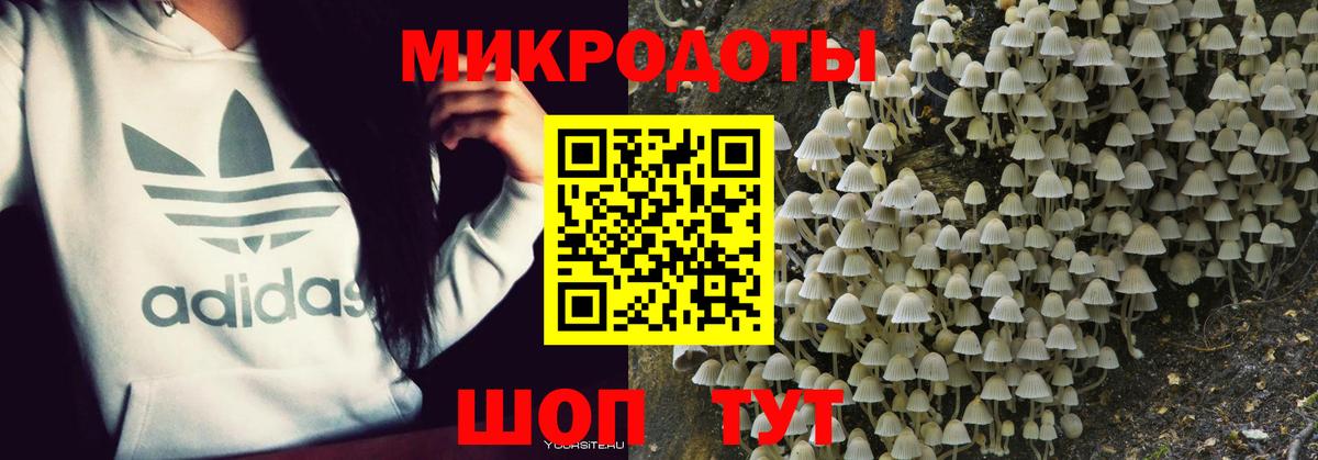 Красногорск  Псилоцибиновые грибы GOLDEN TEACHER  Вход с VPN  Псилоцибиновые грибы GOLDEN TEACHER 